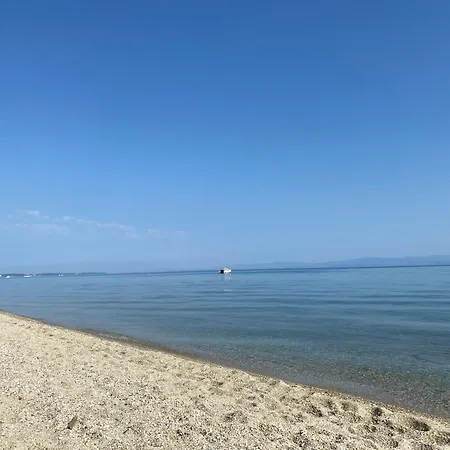 Irini * 하니오티
